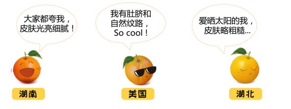 不懂如何置办年货橙？一份来自天使之橙的选橙宝典