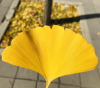 严控金融活动规范 巩固金融市场良好秩序