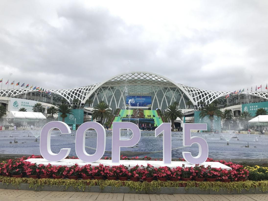 cop15第一阶段会议在昆明圆满落幕 参会成员植物医生践行生物多样性