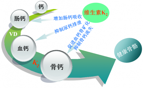 长期以来，补钙不能定向沉积至骨骼，反而可能导致高钙血症，增加动脉钙